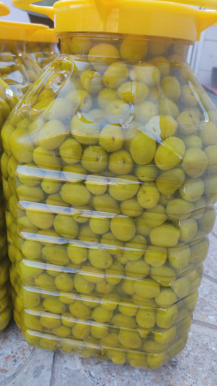 زیتون با هسته درشت 7 کیلویی